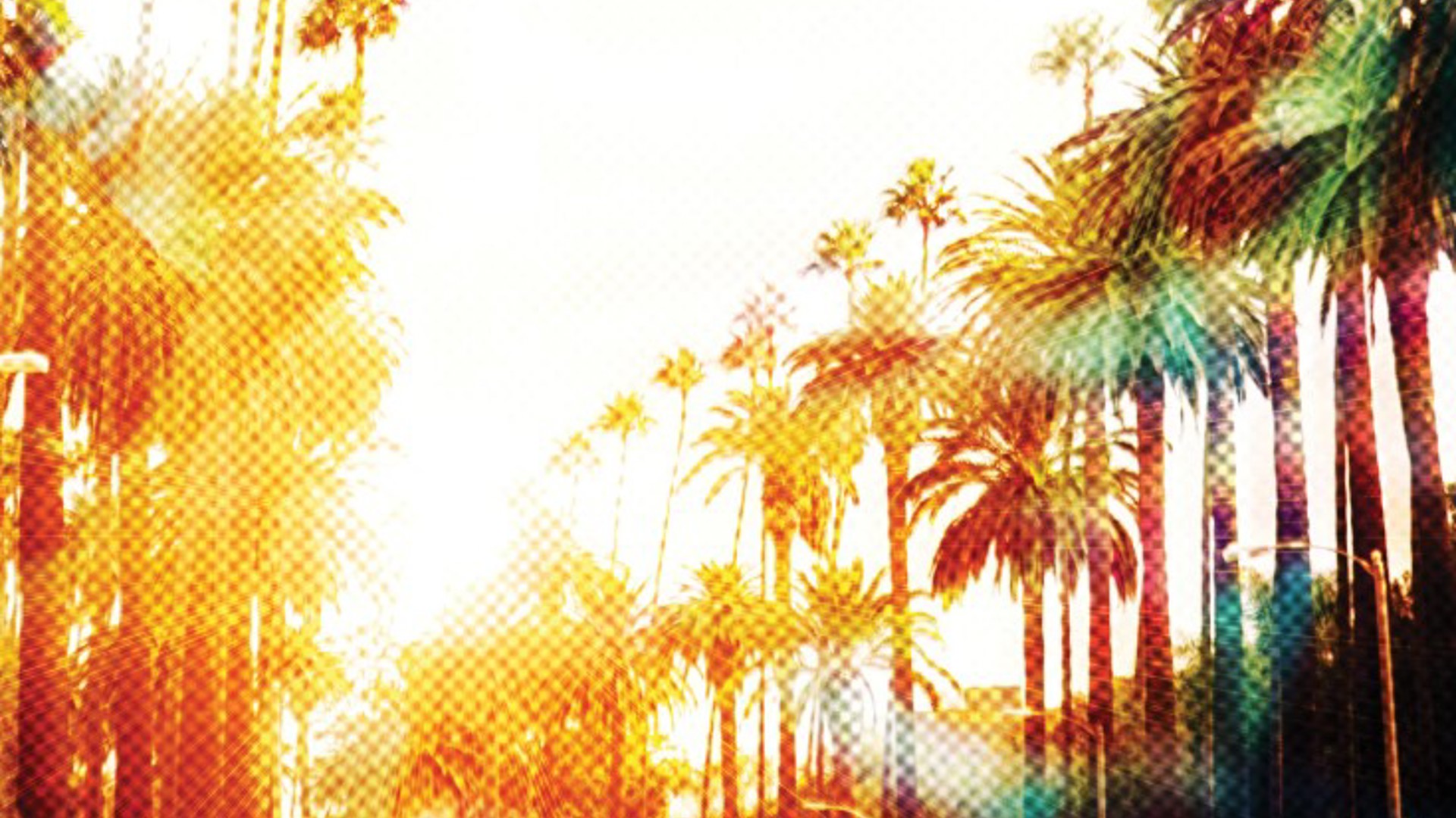 palm trees lining a Los Angeles street with sunshine