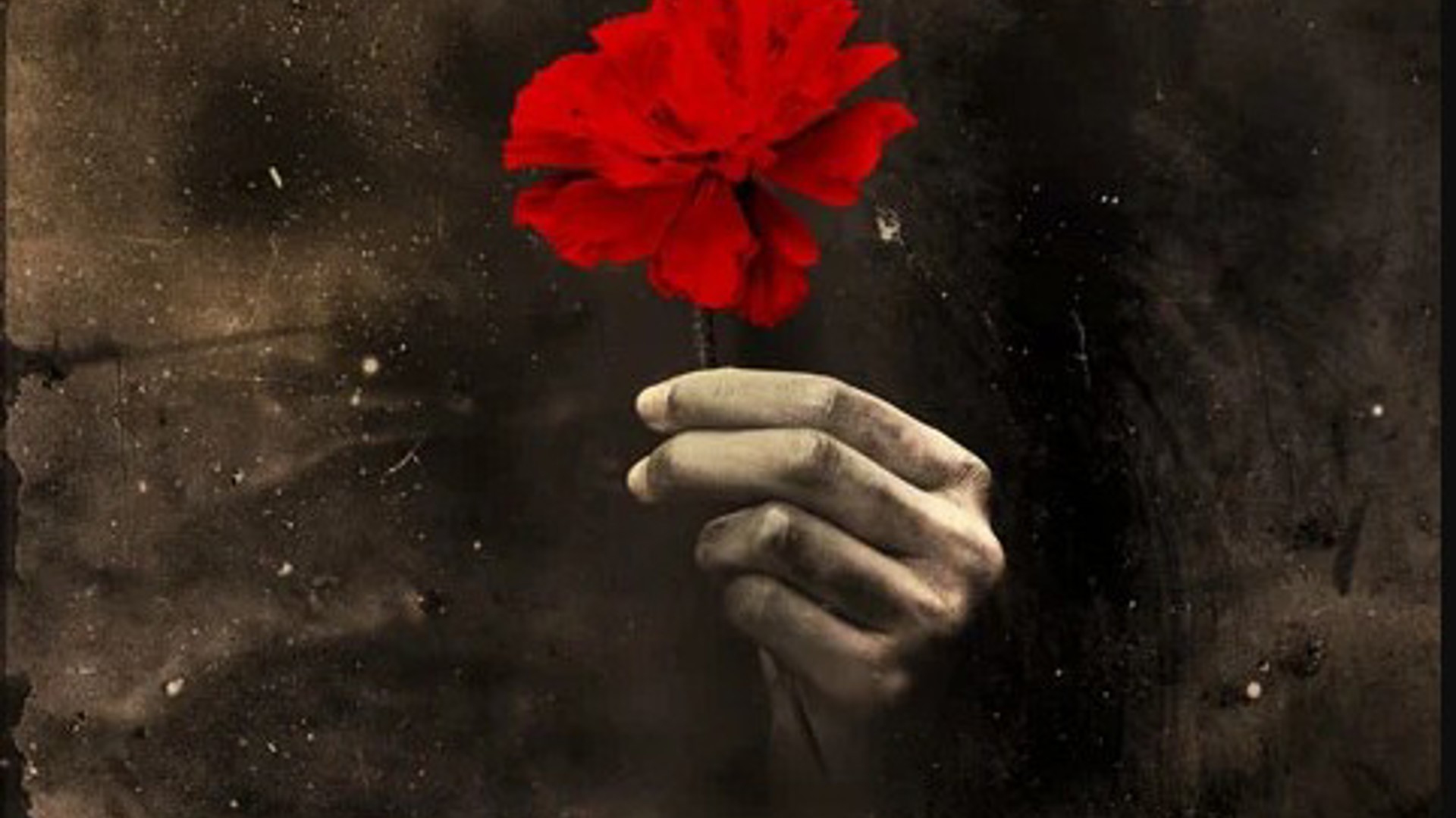 Hadestown the musical advertisement image a hand holding a flower