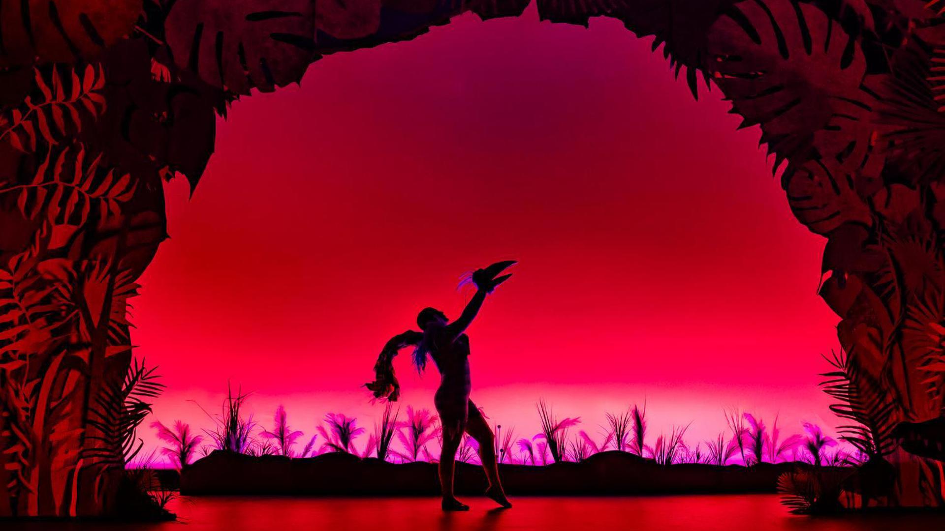 The silhouette of a large bird lit by red lights.
